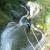 Canyoning - Canyon of l'Albès - 27