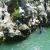 Canyoning - Canyon du Diable - Partie basse - 4