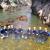 Canyoning - Canyon du Diable - Partie basse - 8