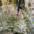 Canyoning - Canyon du Diable - Partie basse - 15