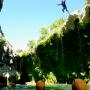 Canyoning - Canyon du Diable - Partie haute - 35