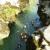 Canyoning - Canyon du Diable - Partie haute - 43
