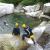 Canyoning - Canyon of Tapoul - 15