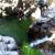 Canyoning - Canyon of Vialais - 39