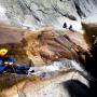 Canyoning - Canyon of Rec Grand - 26