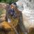 Canyoning - Canyon of Rec Grand - 32