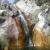 Canyoning - Canyon of Rec Grand - 35