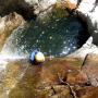 Canyoning - Canyon of Rec Grand - 39