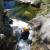 Canyoning - Waterfalls of Orgon - 9