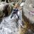 Canyoning - Waterfalls of Orgon - 24