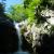 Canyoning - Waterfalls of Orgon - 49